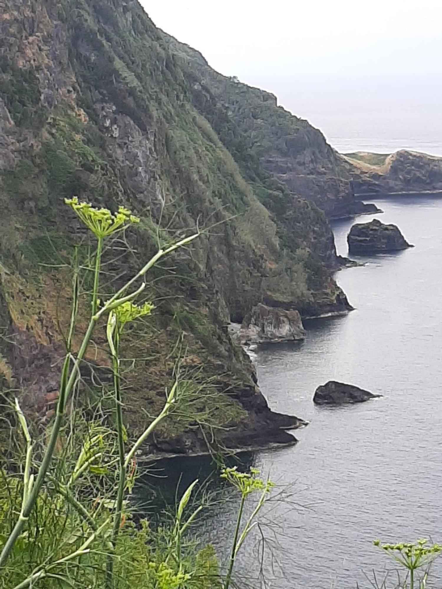 Casa Vicente Lejlighed Santa Cruz das Flores Eksteriør billede